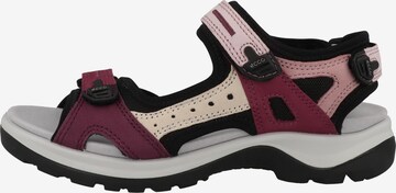 ECCO Hiking Sandals 'Offroad' in Pink