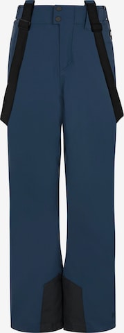 PROTEST Regular Sports trousers 'BORK JR' in Blue: front