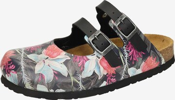 DR. BRINKMANN Clogs in Mixed colors: front