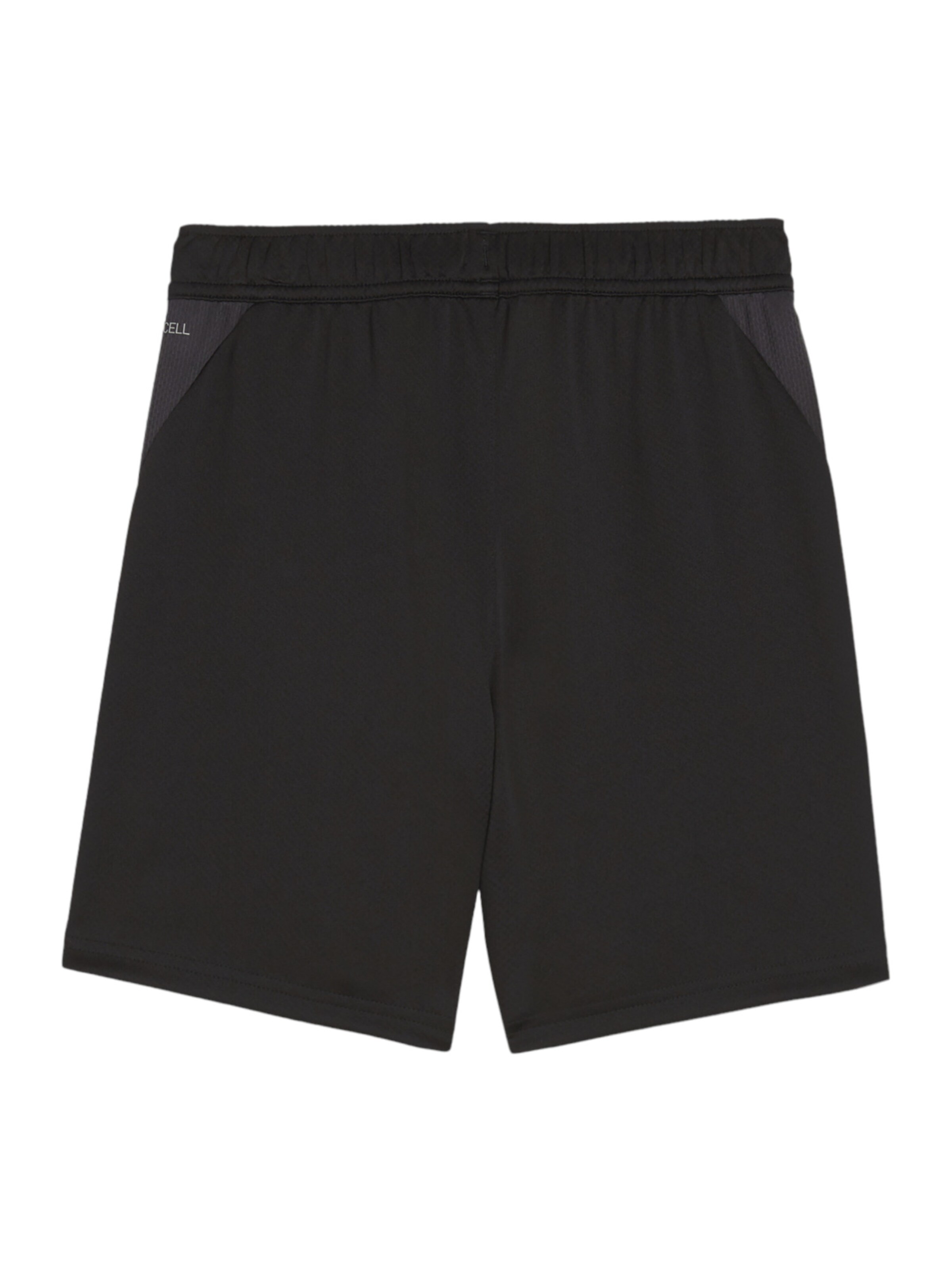 PUMA Regular Sportshorts 'TeamGoal' in Schwarz