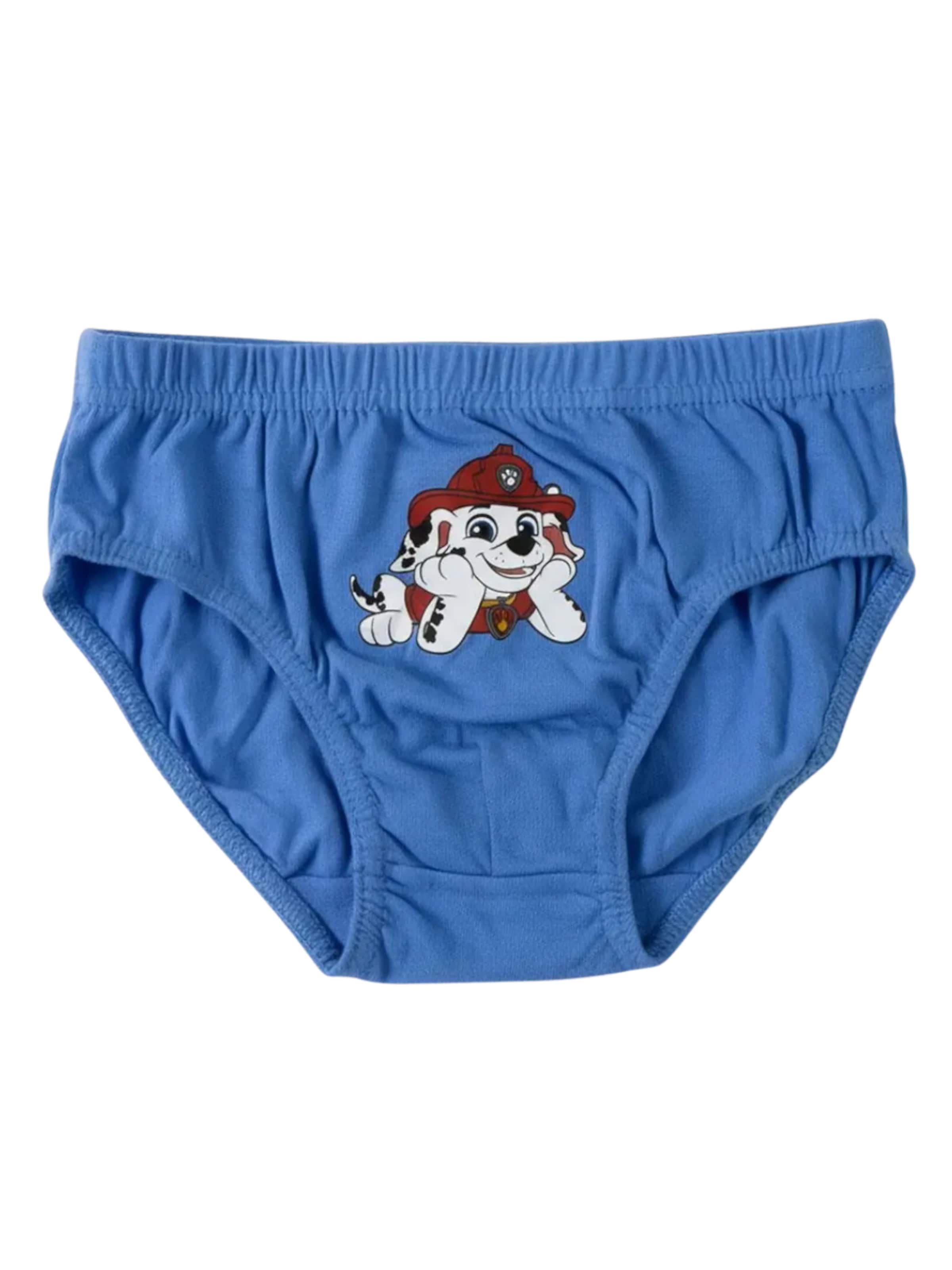 Cerdá Underpants in Mixed colours