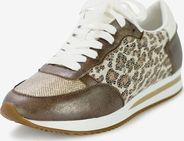 Findlay Sneakers laag 'LEO' in Bruin: voorkant