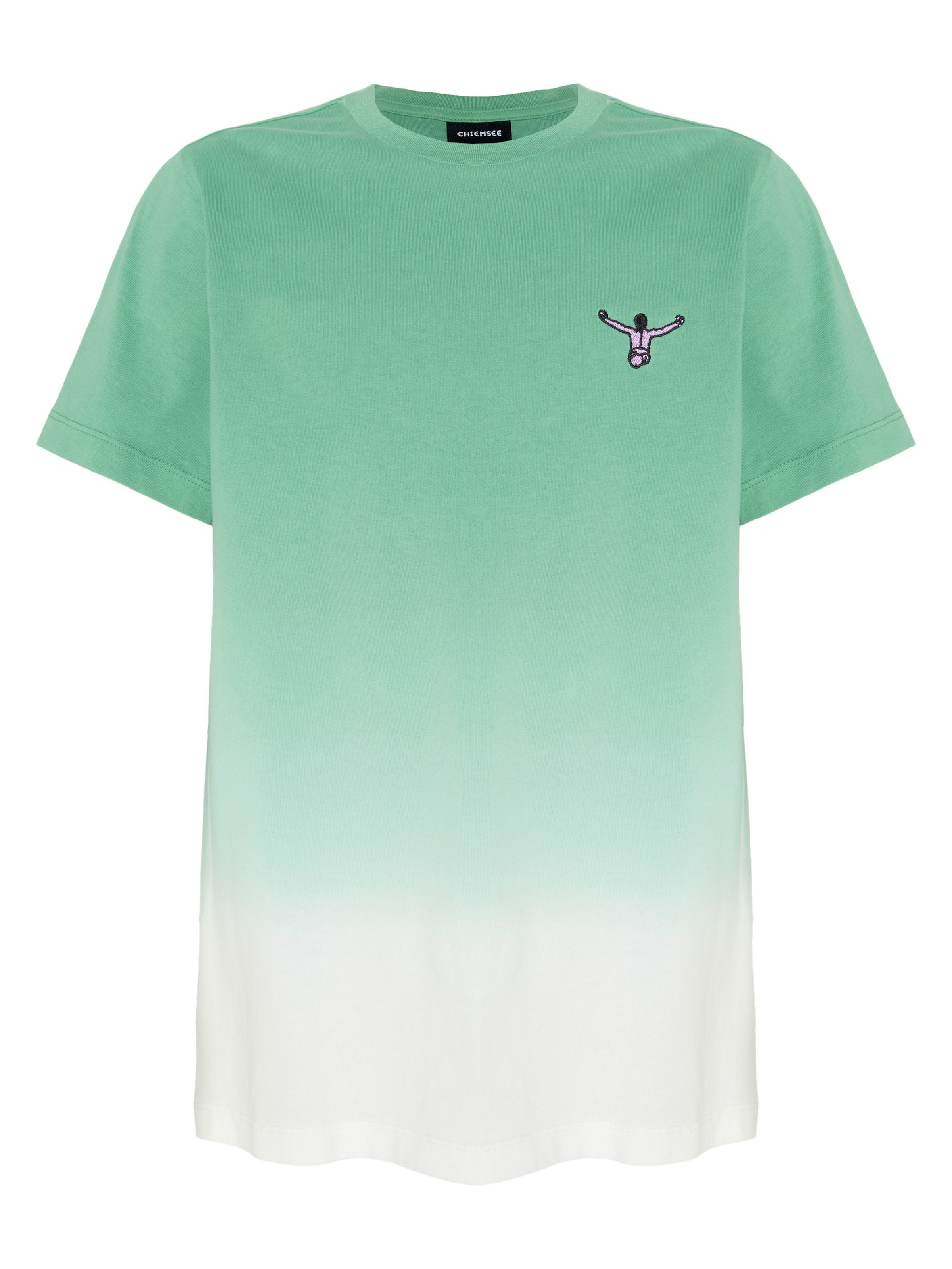 CHIEMSEE Shirt in Green: front