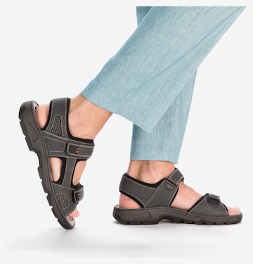 Rieker Sandale in Grau: Vorderseite