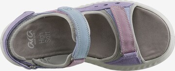 ARA Hiking Sandals in Mixed colors