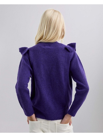 Scalpers Pulover ' ' | vijolična barva