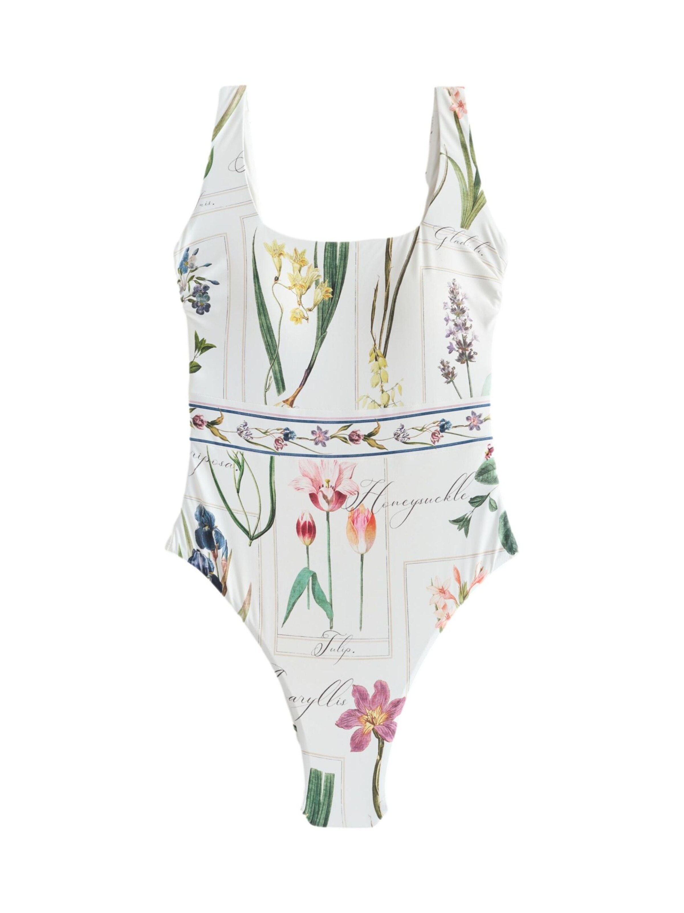 Next Swimsuit in Green / Purple / Pink / White, Item view