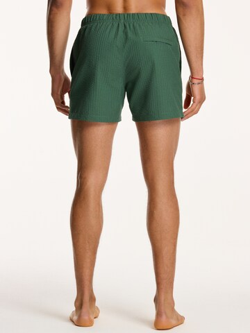 Shorts de bain Shiwi en vert