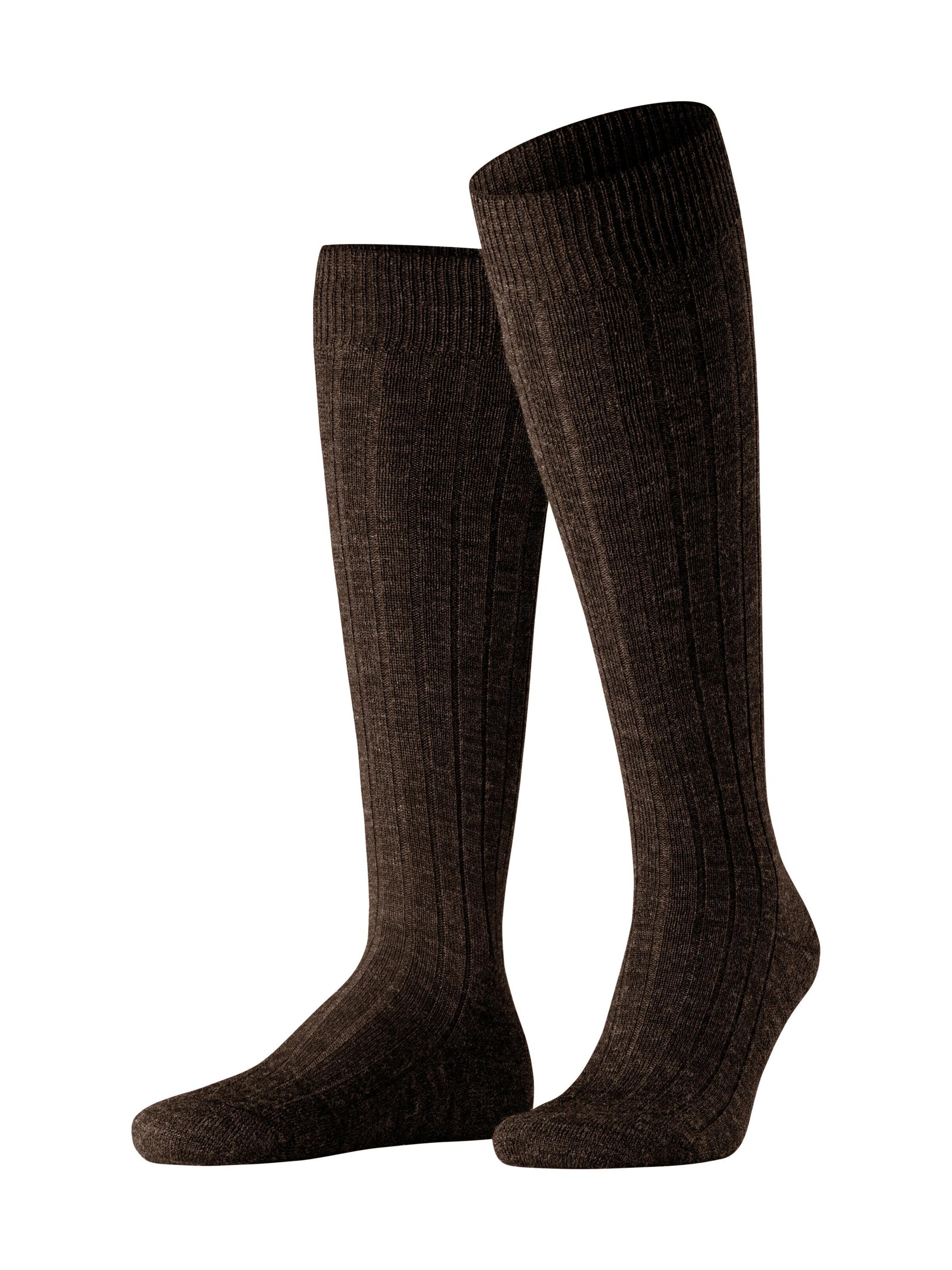 FALKE Knee High Socks 'Teppich im Schuh' in Brown: front
