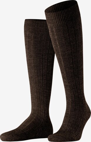 FALKE Knee High Socks 'Teppich im Schuh' in Brown: front