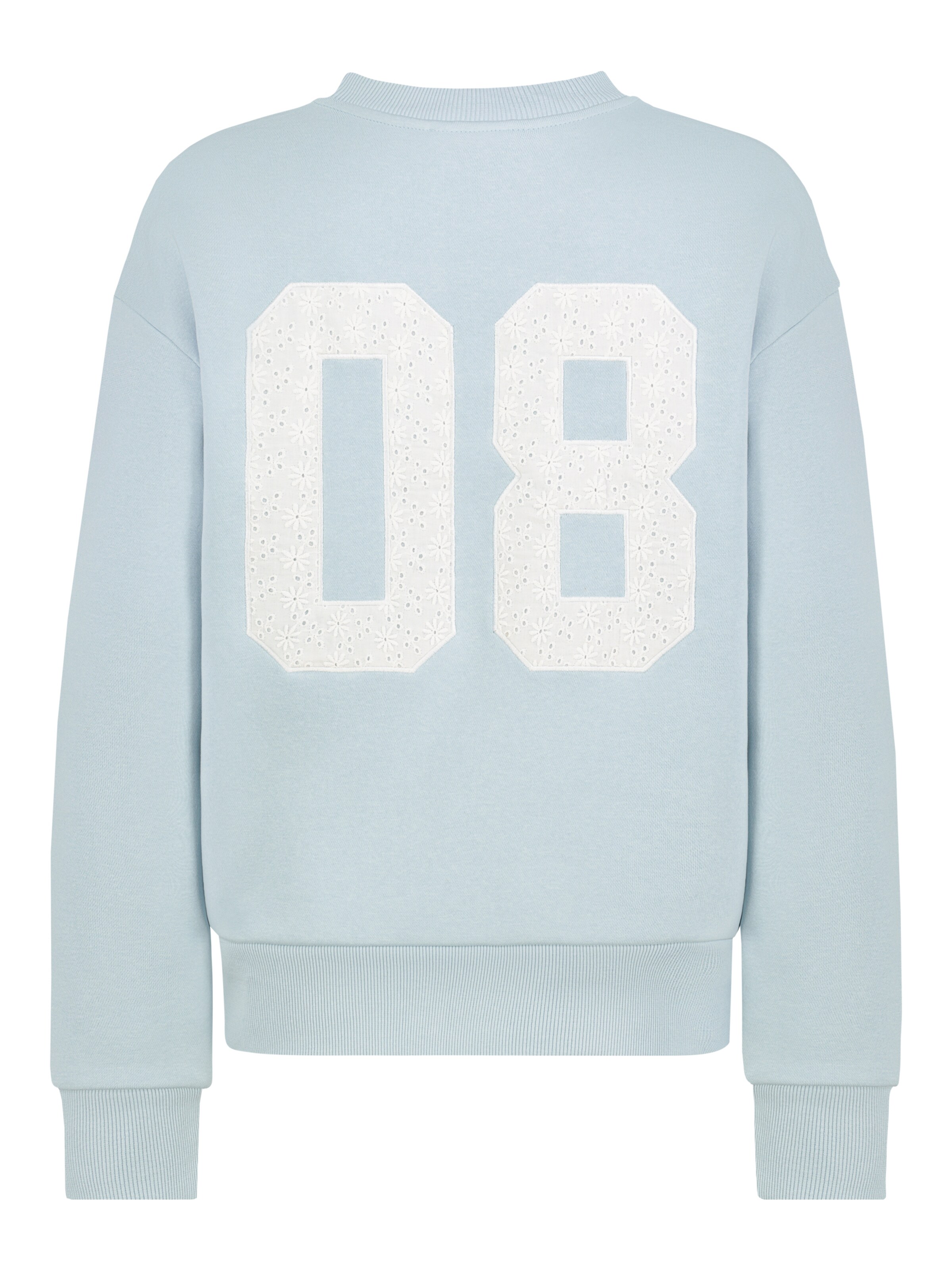 Sublevel Sweatshirt in Blau