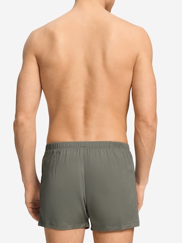 Hanro Boxershorts ' Cotton Sporty ' in Grijs