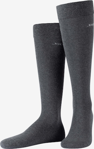 JOOP! Kniestrümpfe in Grau: Vorderseite