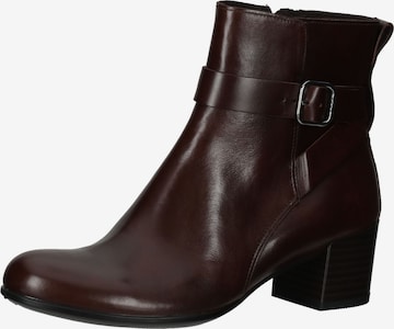 ECCO Ankle Boots in Braun: predná strana