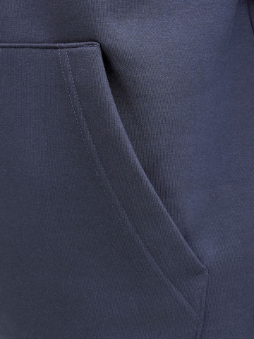 Felpa di JACK & JONES in blu