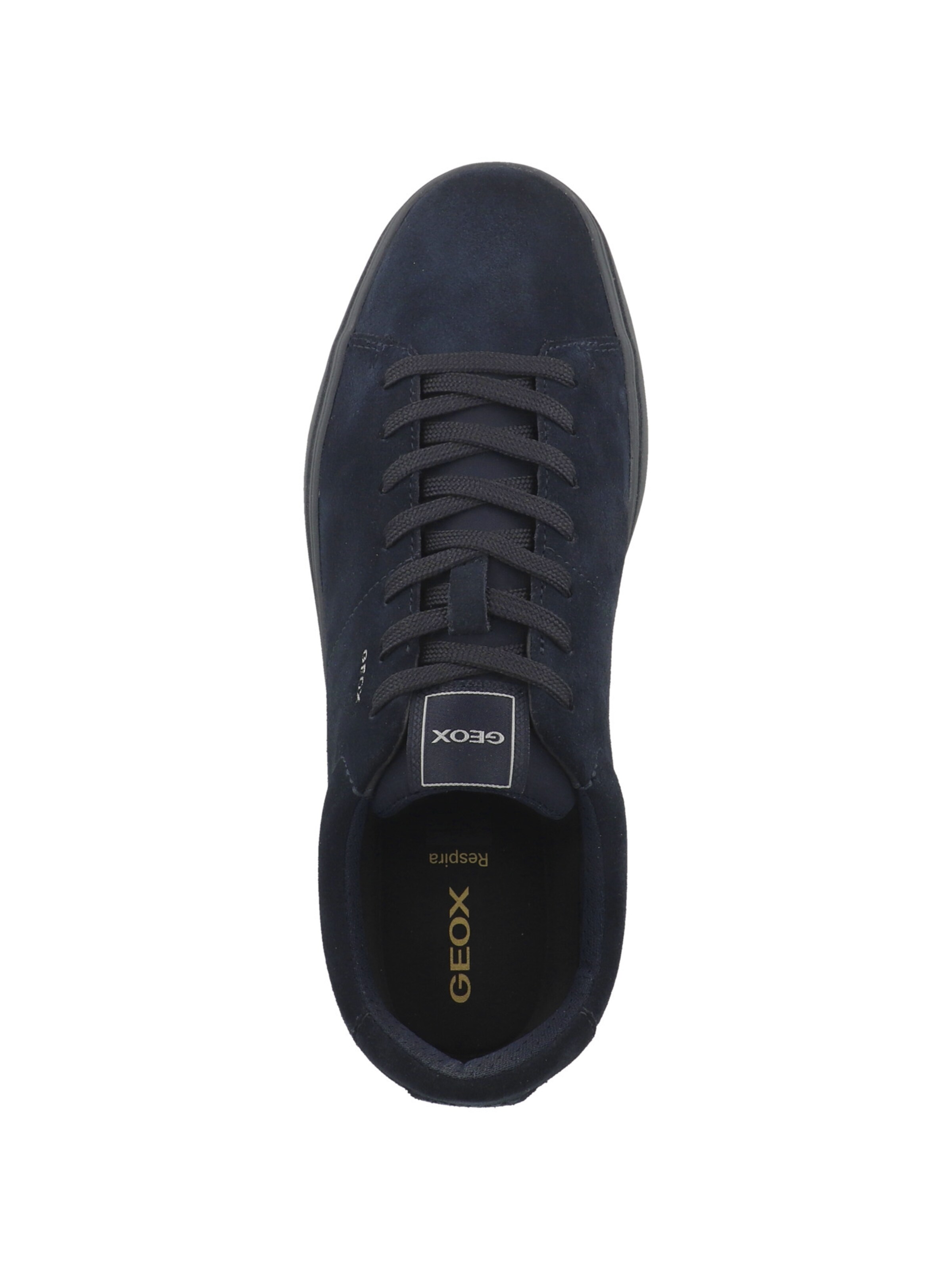Baskets basses 'U Baltmoore' GEOX en bleu