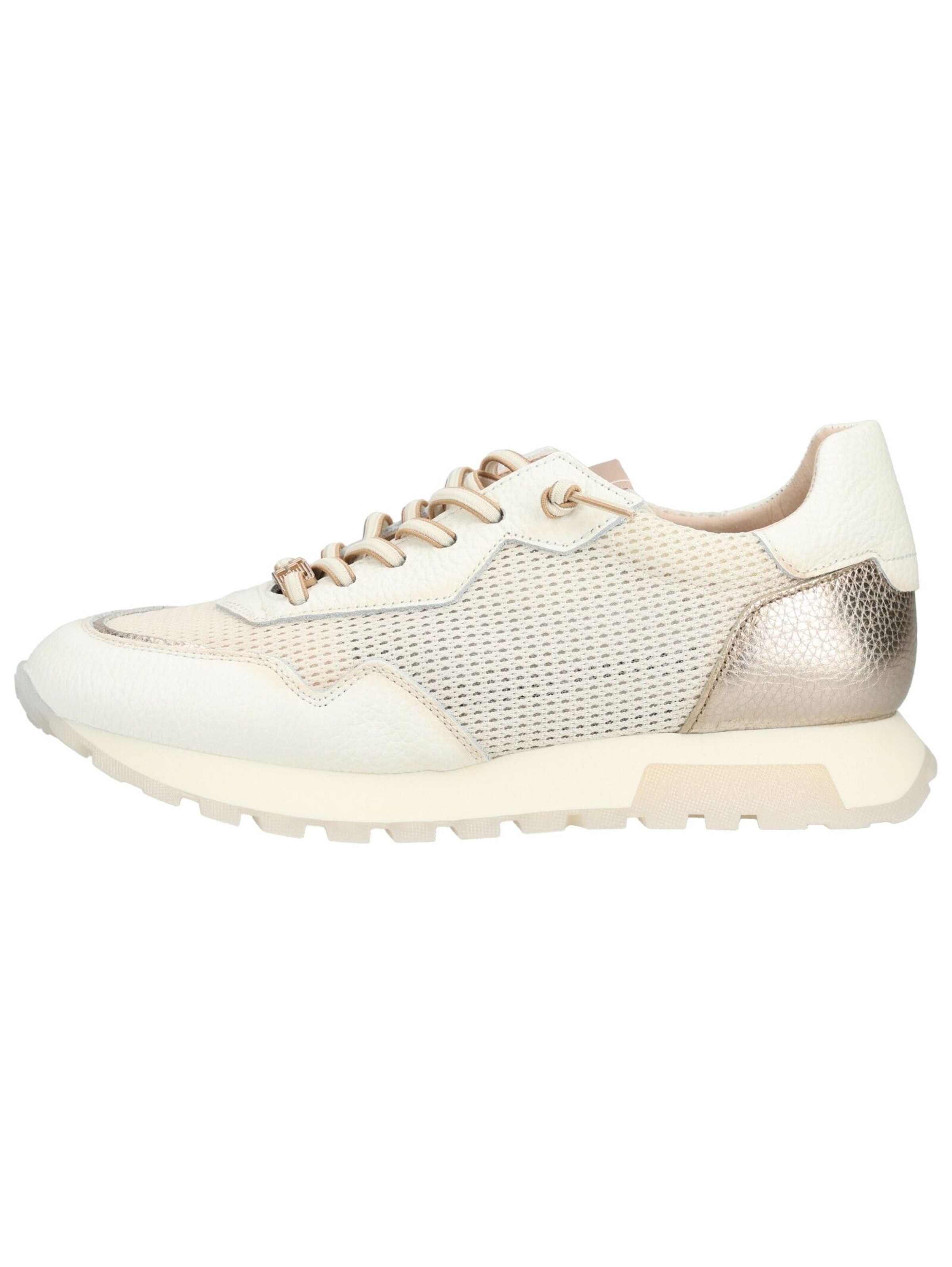 Baskets basses Hispanitas en or