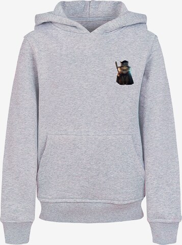 F4NT4STIC Sweatshirt 'Wizard Cat' in Grau: predná strana