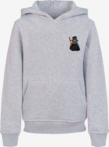 F4NT4STIC Sweatshirt 'Wizard Cat' in Grijs: voorkant