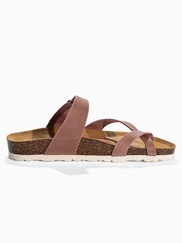 Bayton Japonke 'DIANE' | rjava barva