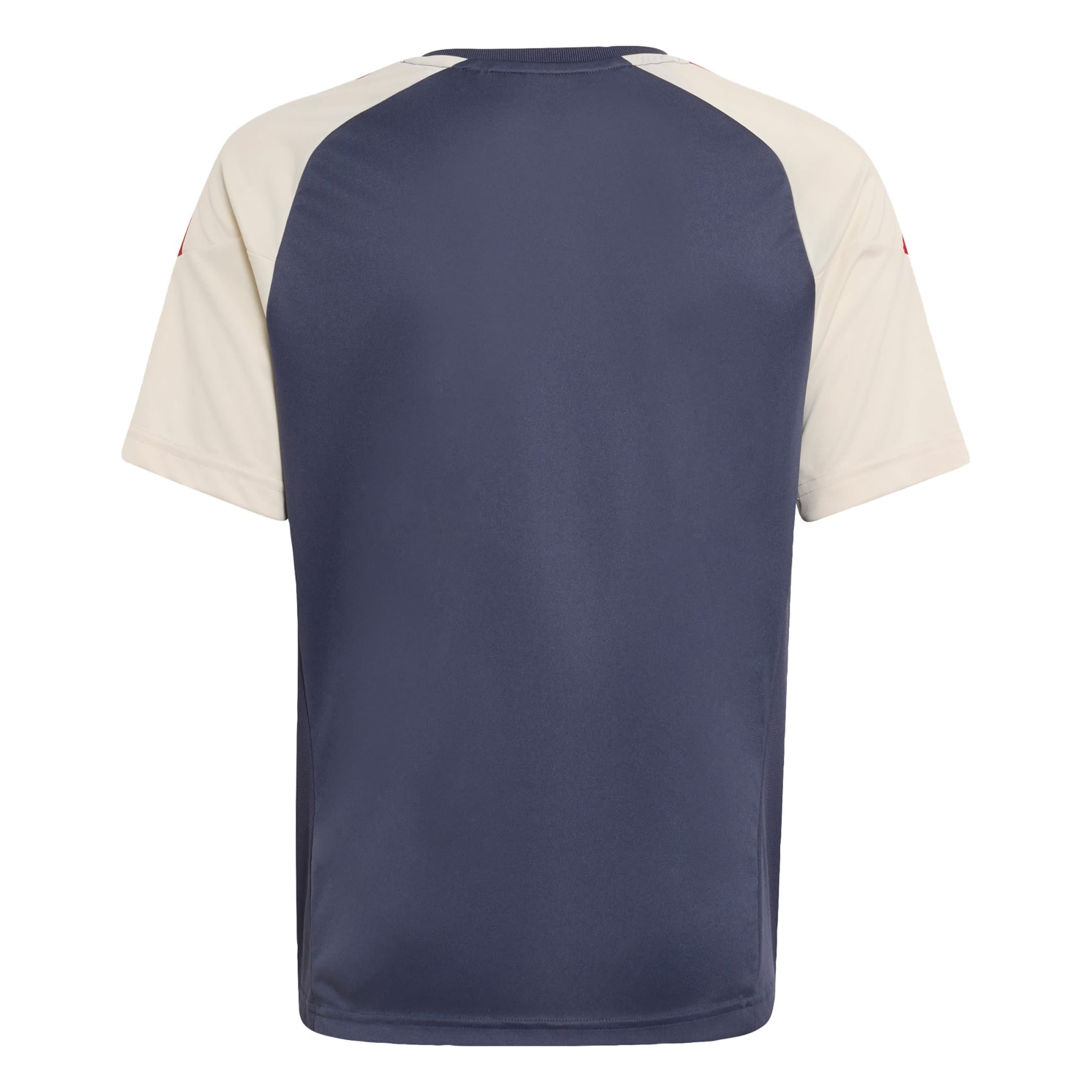 ADIDAS PERFORMANCE - Camiseta funcional 'Frankreich Rugby' en azul