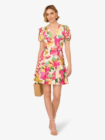 Adrianna Papell Kleid in Pink