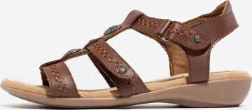 Minnetonka Sandal 'Sonya' i brun: framsida