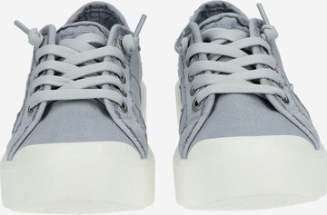 Baskets basses Blowfish Malibu en gris