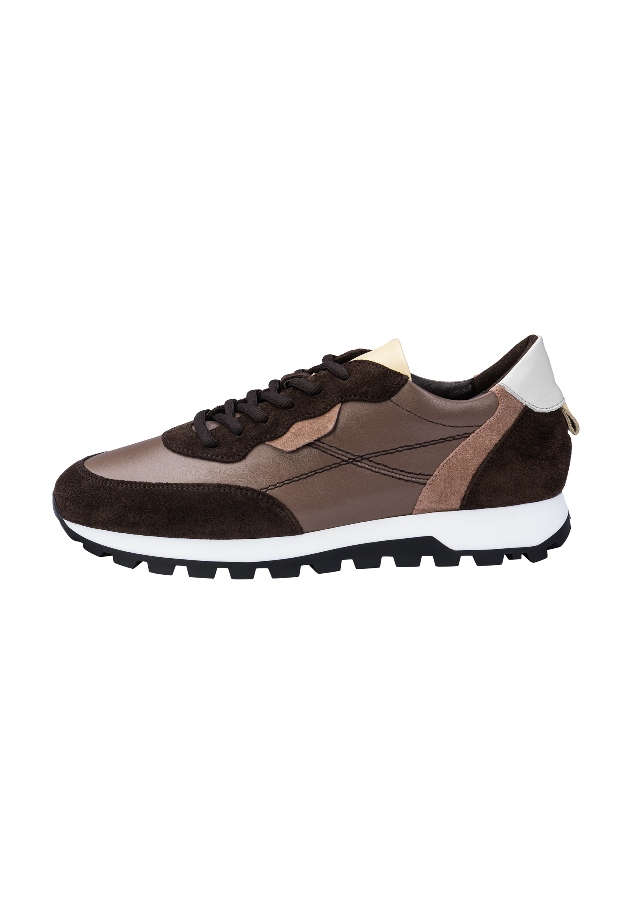 Sneaker alta di LLOYD in marrone: frontale