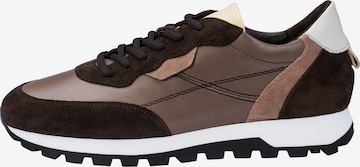 Sneaker alta di LLOYD in marrone: frontale