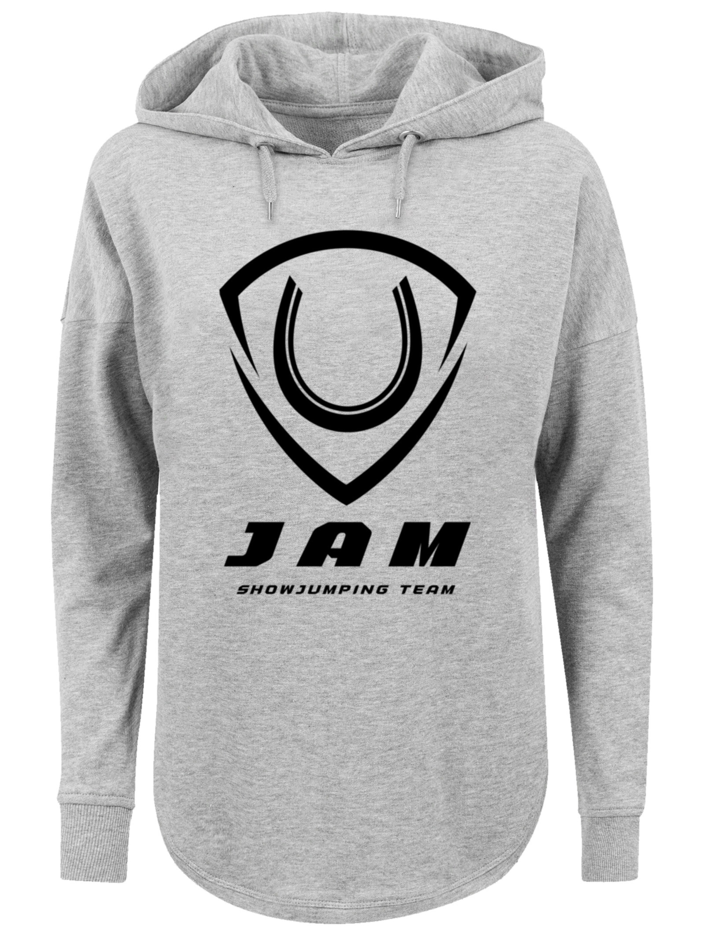 F4NT4STIC Sweatshirt in Grijs: voorkant