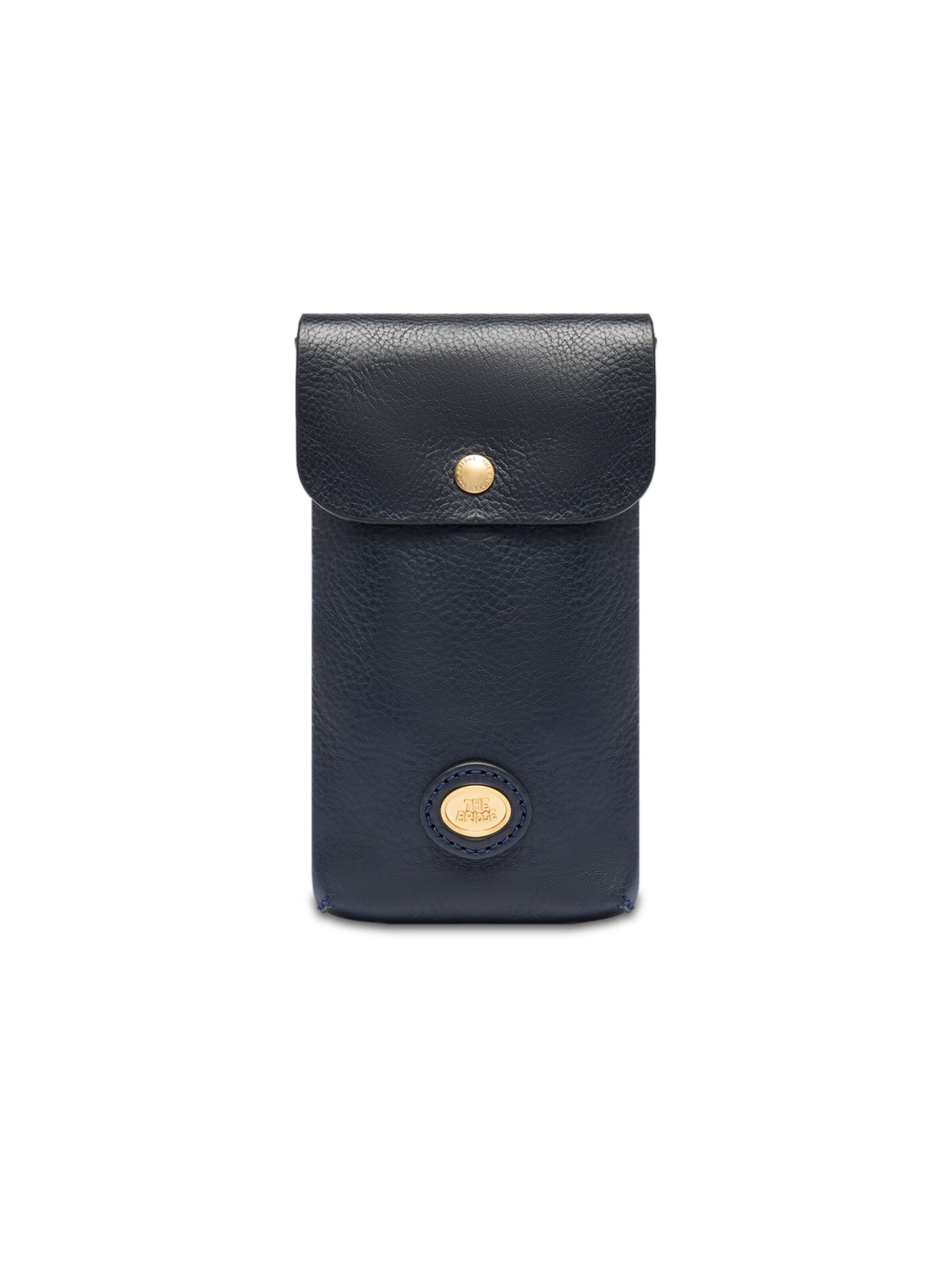 The Bridge Bag accessories in Blue: front