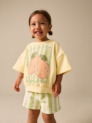 Next Set in Green: front