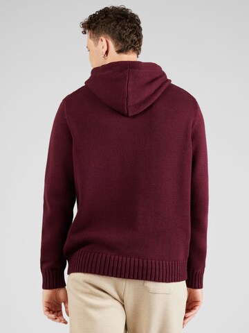 Polo Ralph Lauren Pullover in Rot