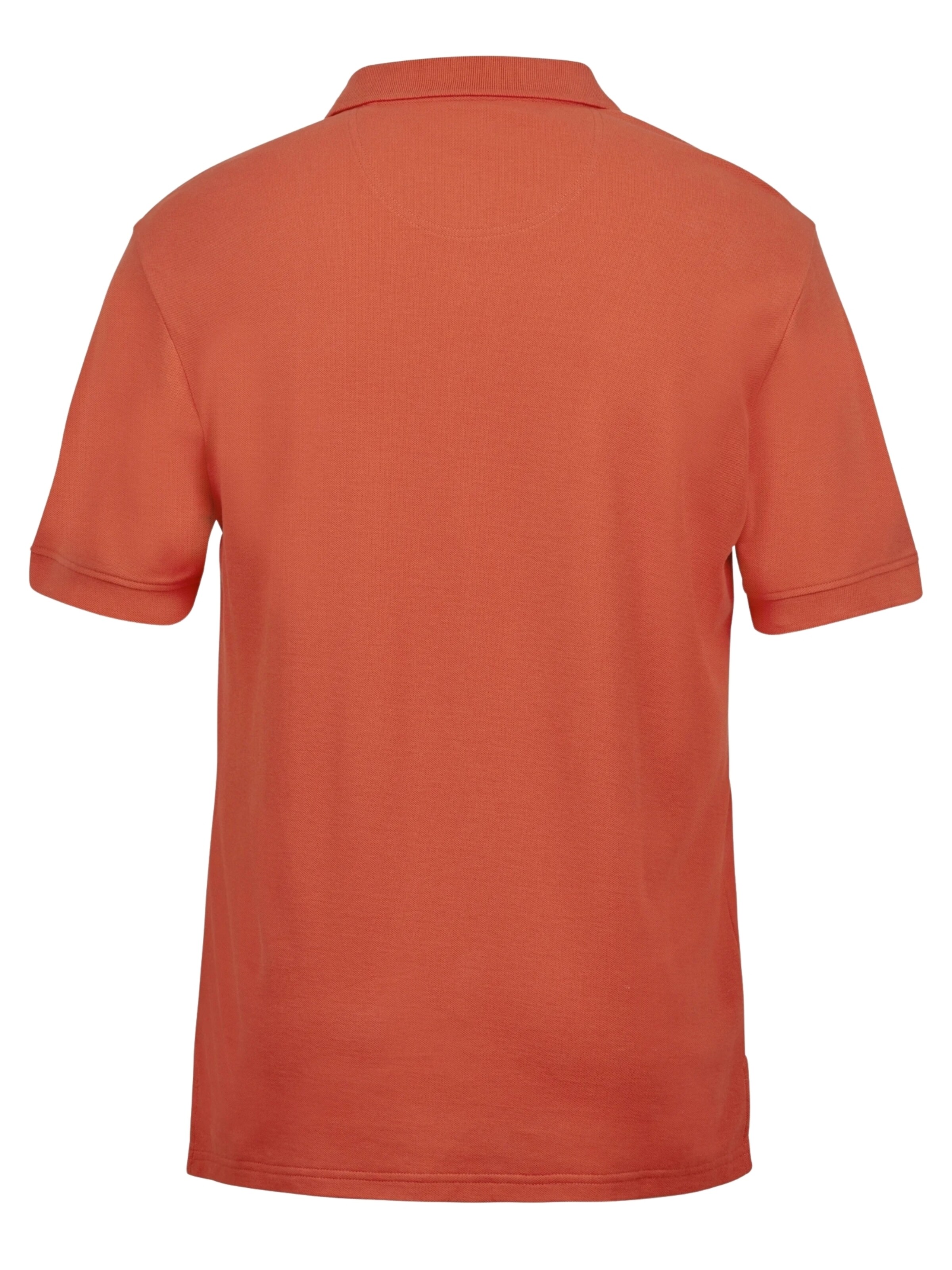 U.S. POLO ASSN. Regular fit Button Up Shirt 'Alfred' in Brown