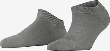 FALKE Füßlinge 'ClimaWool' in Grau: Vorderseite