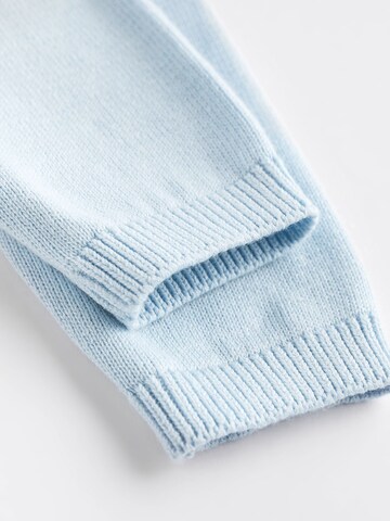 Next Strickjacke in Blau