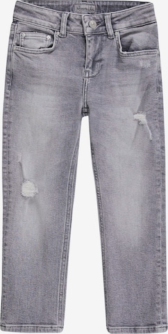 LTB Skinny Jeans 'Anitta G' in Grey: front