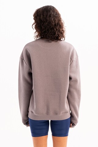 Justever Sweatshirt in Grey