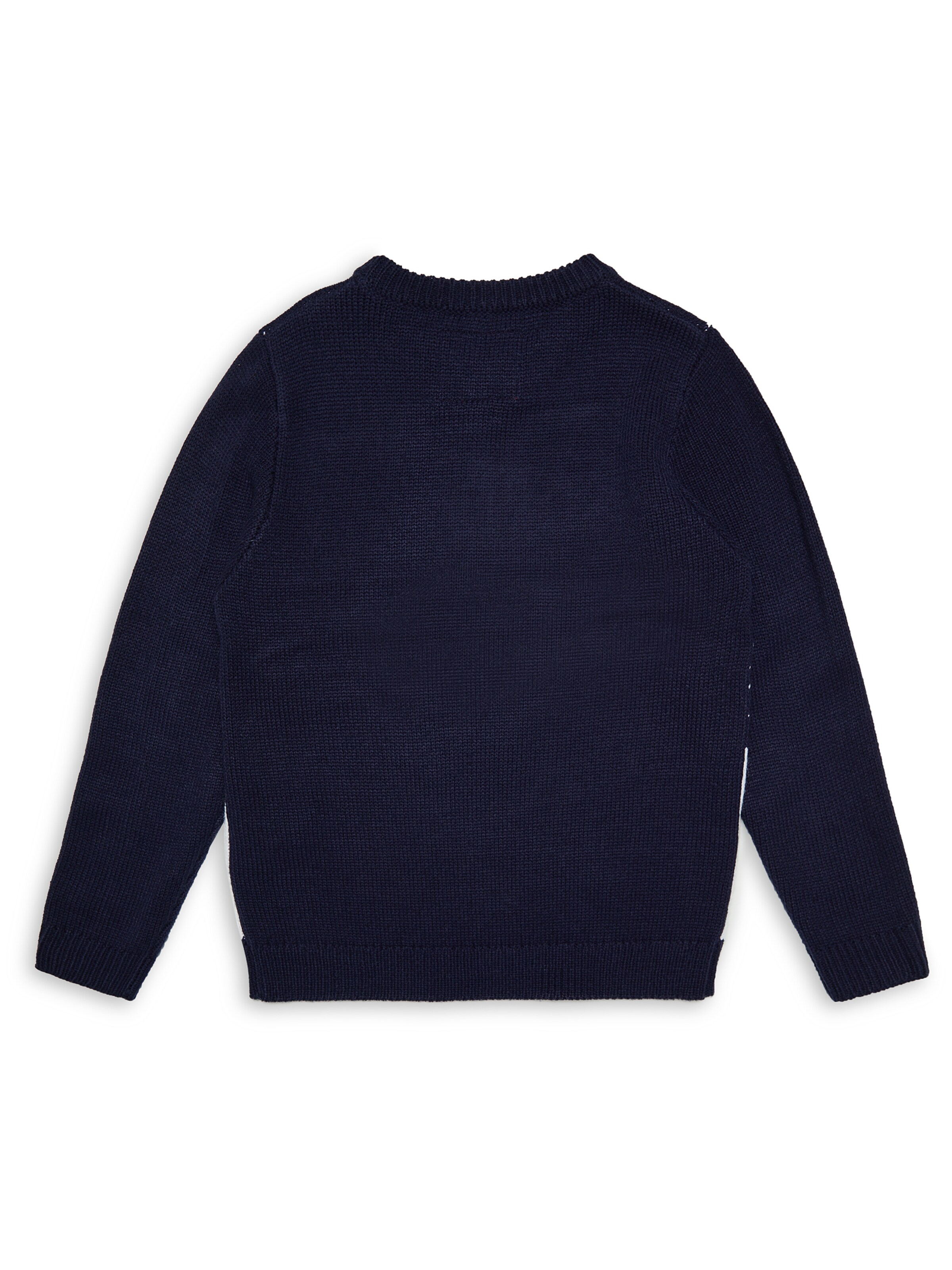 Threadboys Trui 'Germany' in Blauw