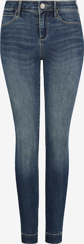 Articles of Society Skinny Jeans 'Sarah' in Blau: predná strana