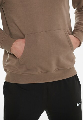 Virtus Sweatshirt 'Toluo' in Brown