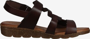 COSMOS COMFORT Sandalen met riem in Bruin