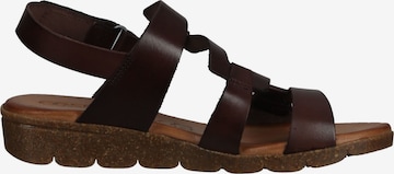 Sandalo con cinturino di COSMOS COMFORT in marrone