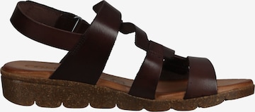 COSMOS COMFORT Strap Sandals in Brown