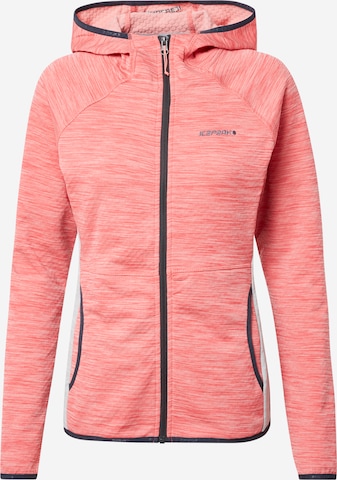 ICEPEAK Sports sweat jacket 'Deltona' in Grey: front