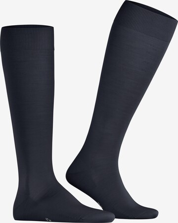 FALKE Knee High Socks 'ClimaWool' in Blue: front