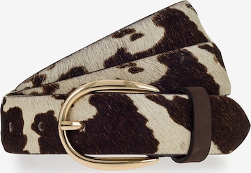 Ceinture VANZETTI en marron : devant