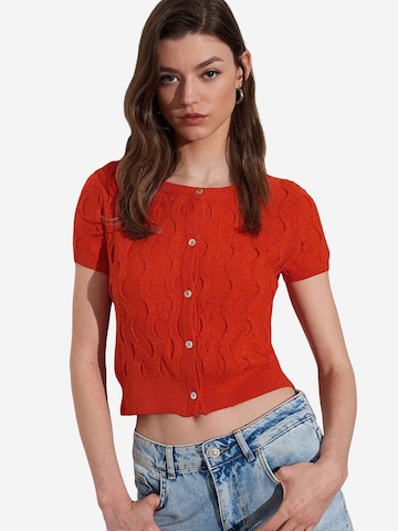 Cardigan 'Strickjacken' Dilvin en orange