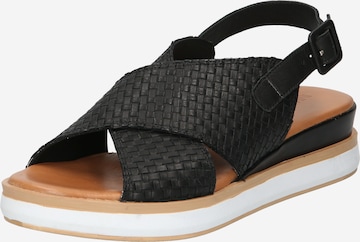 INUOVO Strap Sandals in Black: front